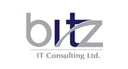 Bitz IT Consulting